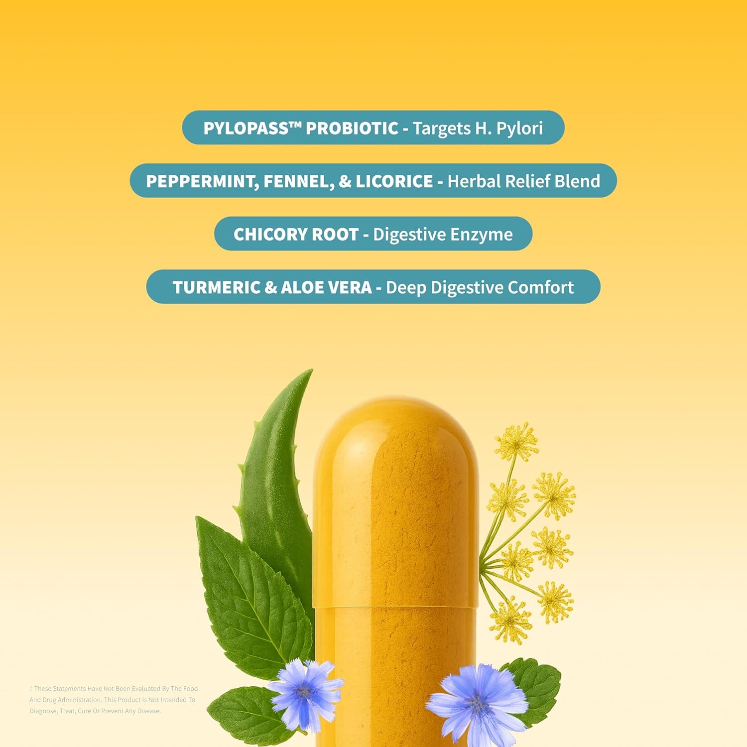 SNAP Gut Health Supplement – Turmeric, Aloe & Pylopass Probiotics – 17 Active Ingredients for Bloating Relief, Digestive Support & Healthy GI Tract – Dietary Supplement, 50 Capsules